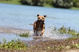 STAFFIE 182